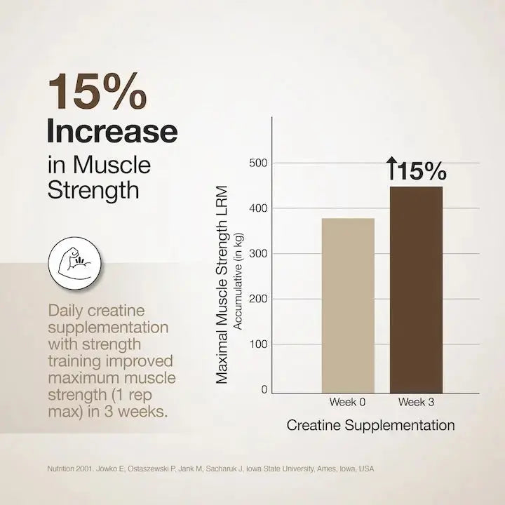 Wellbeing Nutrition Creatine Monohydrate Product vendor